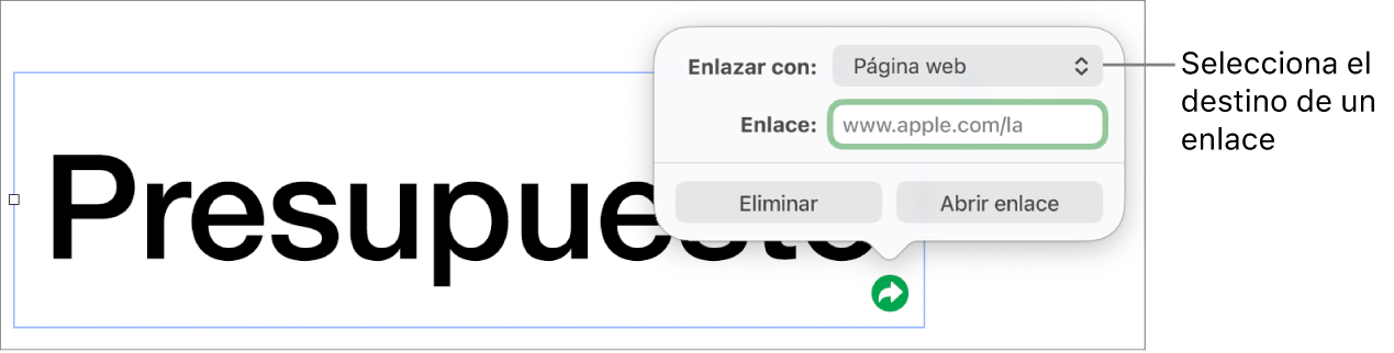 Los controles del editor de enlaces con la opción Página Web seleccionada, con el botón Eliminar y el botón Abrir enlace en la parte de abajo.