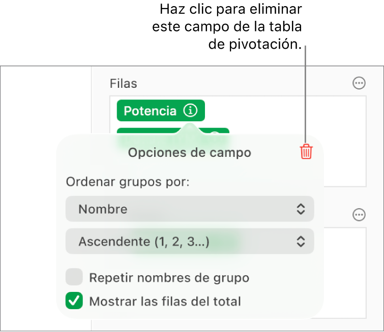 El menú Opciones de campo, que muestra los controles para agrupar y ordenar datos, así como la opción para eliminar un campo.
