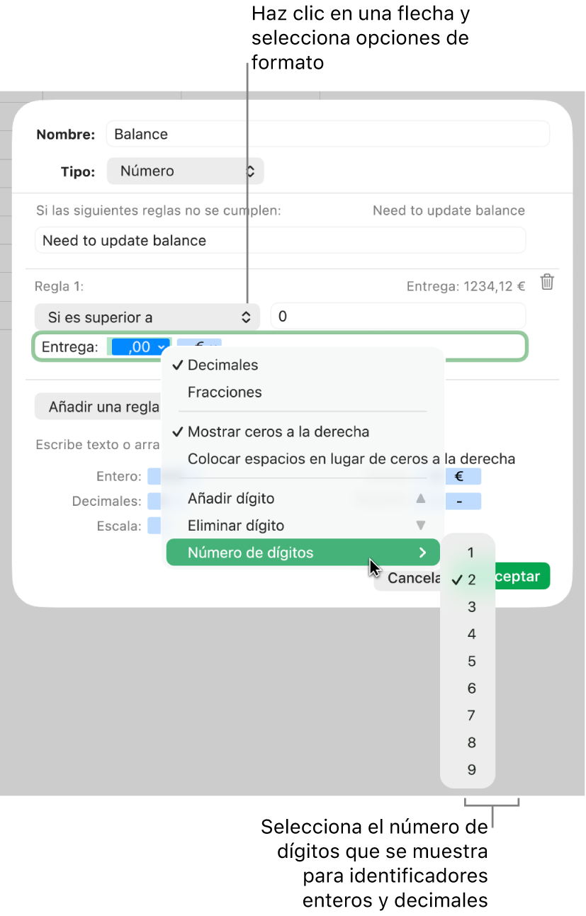 La ventana de formato de celda personalizado con controles para seleccionar opciones de formato personalizadas.
