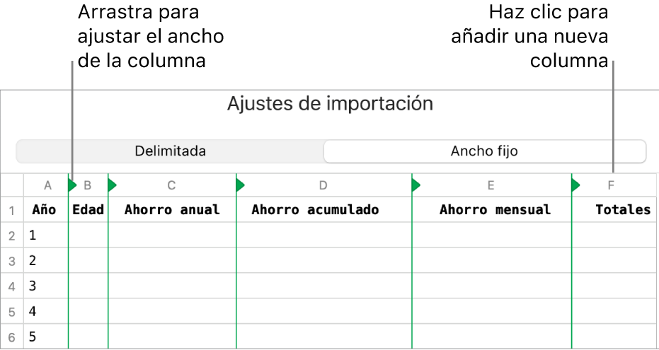 Los ajustes de importación de un archivo de texto de ancho fijo.
