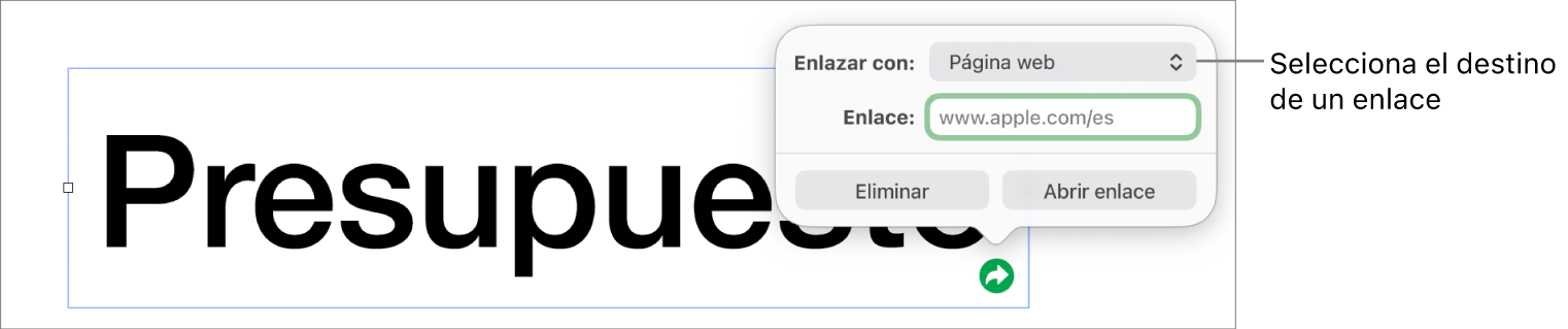 Controles del editor de enlaces con la opción “Página web” seleccionada y los botones Eliminar y “Abrir enlace” en la parte inferior.