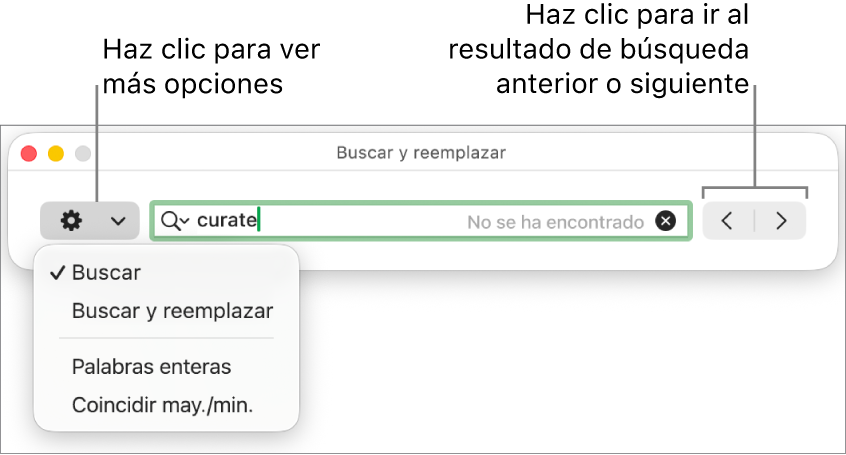 La ventana “Buscar y reemplazar” con el menú desplegable donde aparecen las opciones Buscar, “Buscar y reemplazar,” “Palabras enteras” y “Coincidir may./min.”. Las flechas de la derecha te permiten moverte entre el resultado de búsqueda anterior y el siguiente.