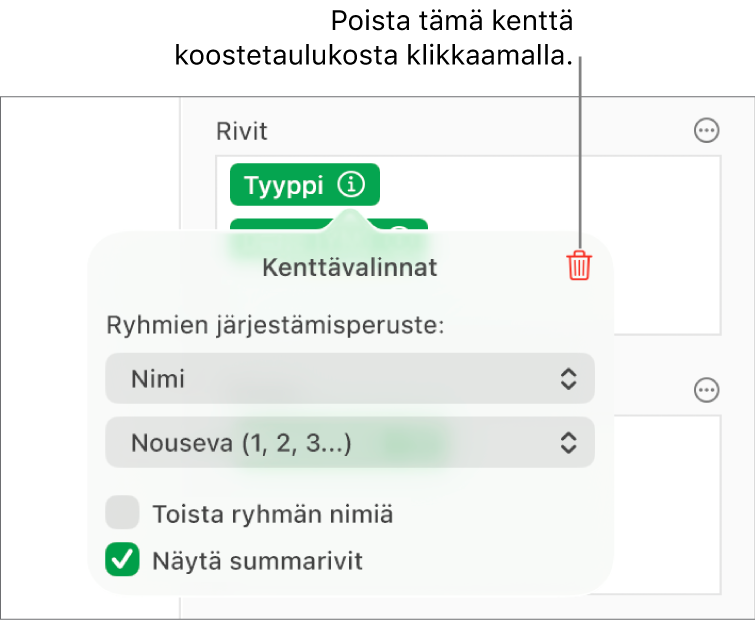 Kenttävalinnat-valikko, jossa näkyvät säätimet datan ryhmittelylle ja järjestämiselle sekä kentän poistamisen valinta.