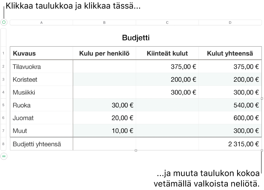 Valittuna taulukko, jossa on valkoiset neliöt koon muuttamiseen.