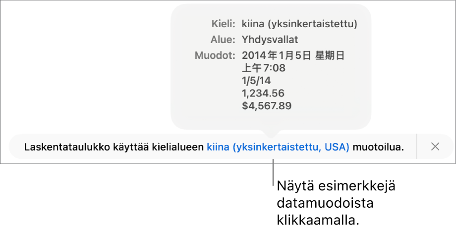 Eri kieli- ja alueasetuksen ilmoitus, jossa on esimerkkejä kyseisen kielen ja alueen muotoilusta.