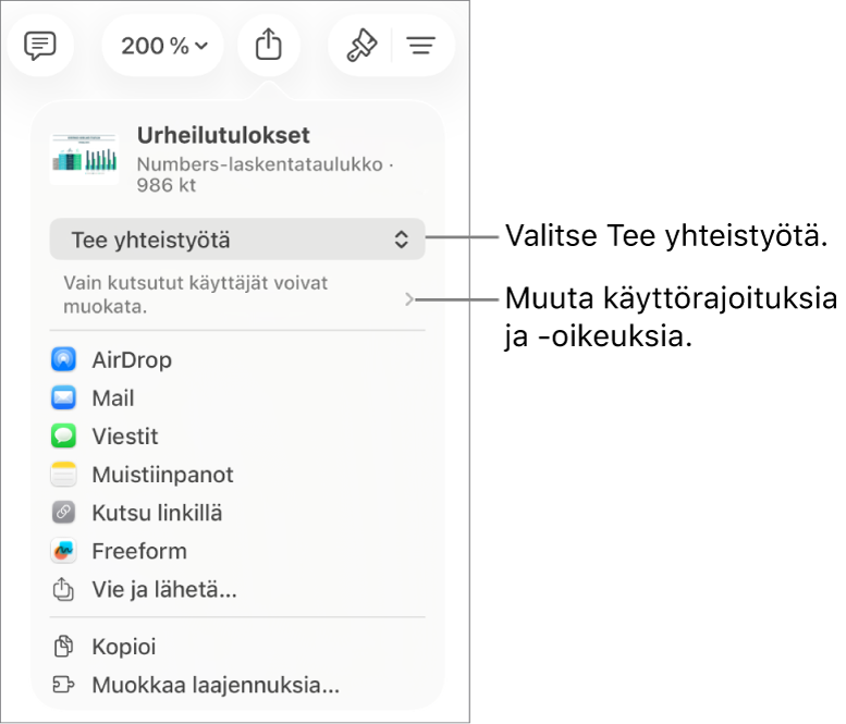 Jaa-valikko, jossa on ylhäällä valittuna Tee yhteistyötä, ja sen alla ovat käyttöoikeus- ja lupa-asetukset.