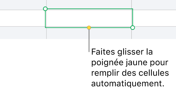 Une cellule sélectionnée avec une poignée jaune à faire glisser pour remplir automatiquement des cellules.