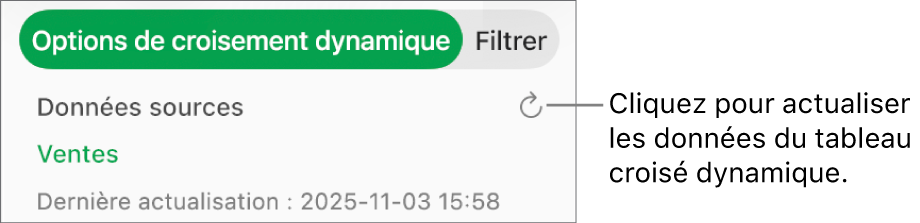 Onglet Options de croisement dynamique avec option d’actualisation du tableau croisé dynamique.