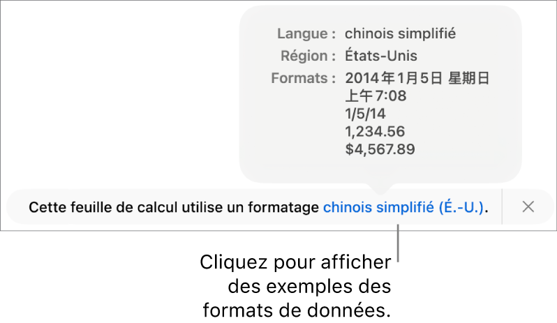 La notification du réglage de langue et de région différent affichant des exemples de la mise en forme correspondant à cette langue et à cette région.