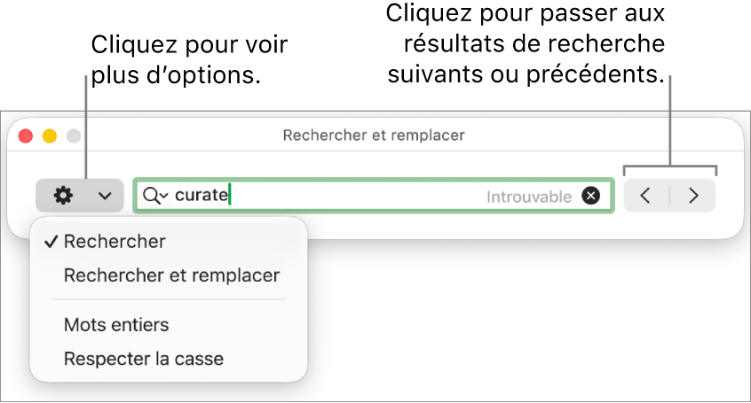 La fenêtre Rechercher et remplacer avec le menu contextuel qui affiche les options Rechercher, Rechercher et remplacer, Mots entiers et Respecter la casse. Les flèches situées à droite vous permettent d’accéder directement aux résultats de recherche précédents ou suivants.