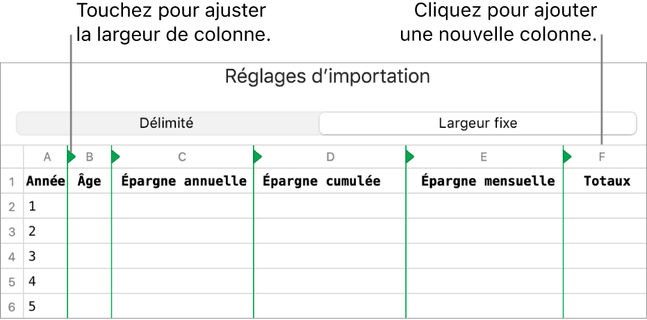 Réglages d’importation d’un fichier texte à largeur fixe.