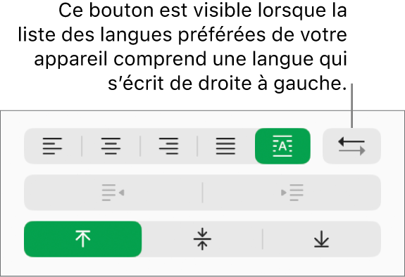 Le bouton Direction du paragraphe dans la section Alignement de la barre latérale Format.