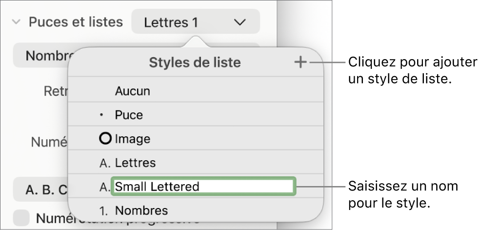 Menu contextuel Styles de liste avec un bouton Ajouter dans le coin supérieur et un nom de style de paramètre fictif dont le texte est sélectionné.