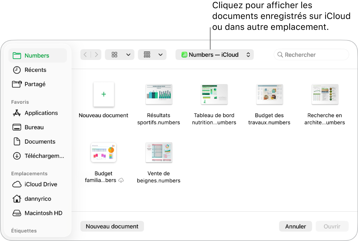 La boîte de dialogue Ouvrir avec la barre latérale s’ouvre à gauche et le lecteur iCloud Drive sélectionné apparaît dans le menu contextuel en haut de l’écran. Les dossiers de Keynote, Numbers et Pages apparaissent dans la boîte de dialogue ainsi qu’un bouton Nouveau document.