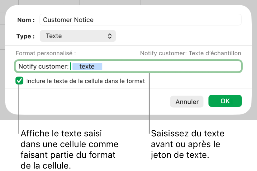 Format de cellule texte personnalisé.