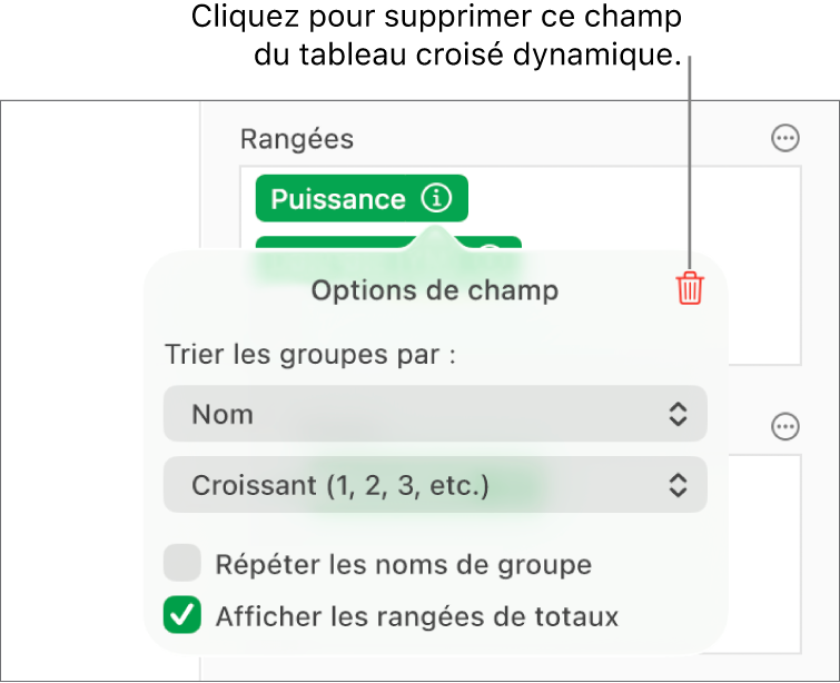 Menu Options de champ avec commandes de regroupement et de tri des données, ainsi que l’option de suppression de champ.