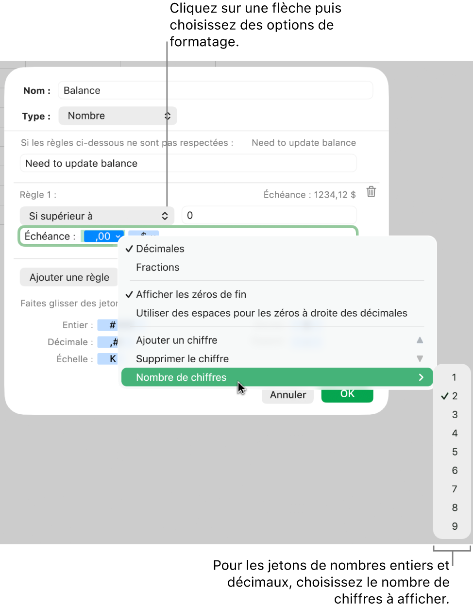 La fenêtre de format de cellule personnalisé présentant les commandes permettant de choisir des options de mise en forme personnalisée.