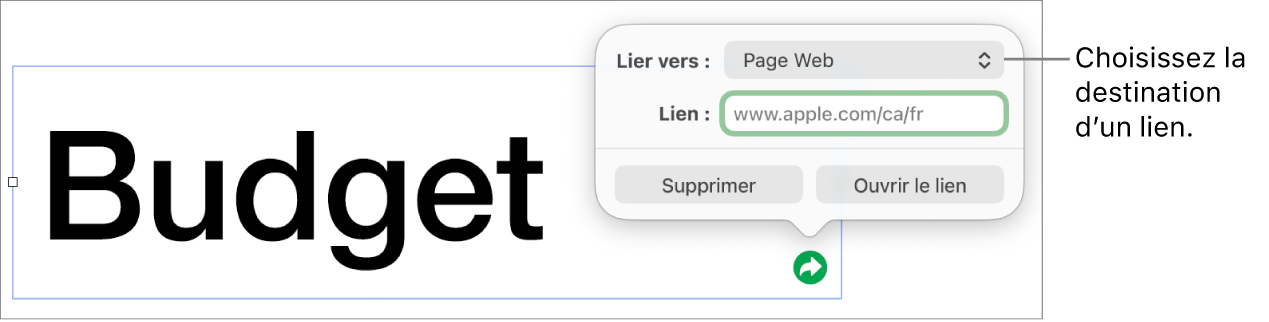 Les commandes de l’éditeur de lien avec l’option Page Web sélectionnée au-dessus des boutons Supprimer et Ouvrir le lien.