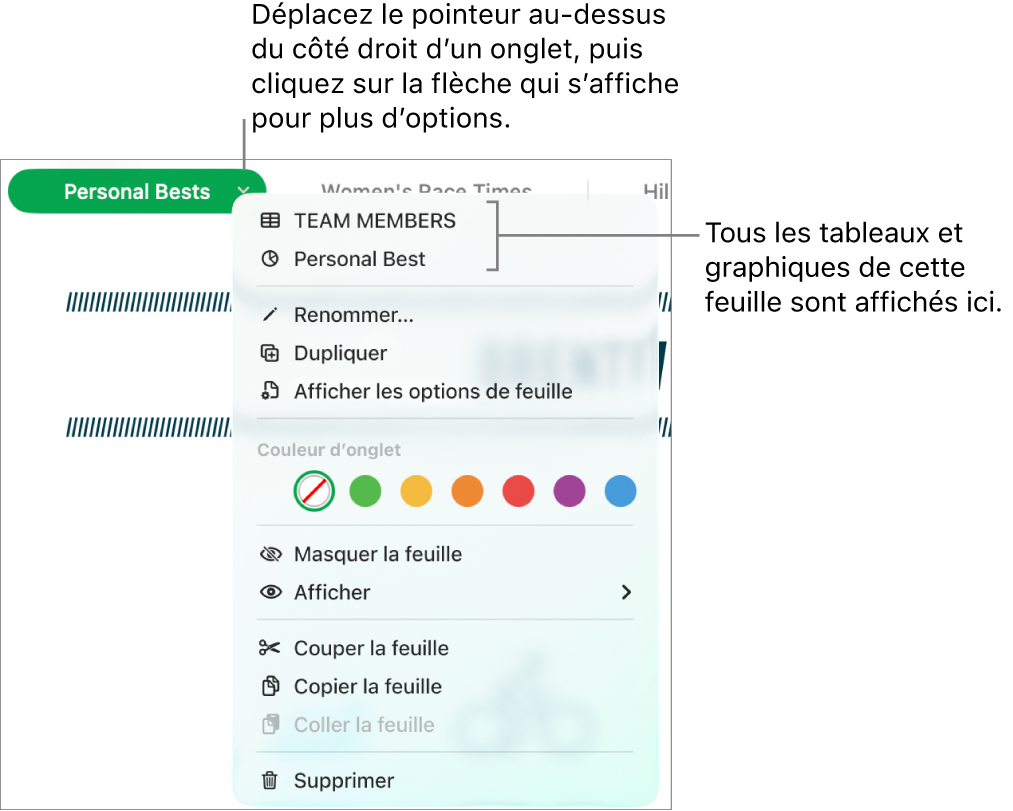 La barre d’onglets pour modifier et masquer des feuilles.
