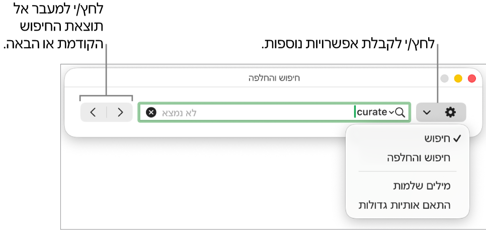 החלון ״חפש והחלף״ עם התפריט הקופצני שמציג את האפשרויות ״חפש״, ״חפש והחלף״, ״מילים שלמות״ ו״התאם אותיות גדולות״. החיצים בצד מאפשרים לך לדלג אל תוצאות החיפוש הקודמות או הבאות.