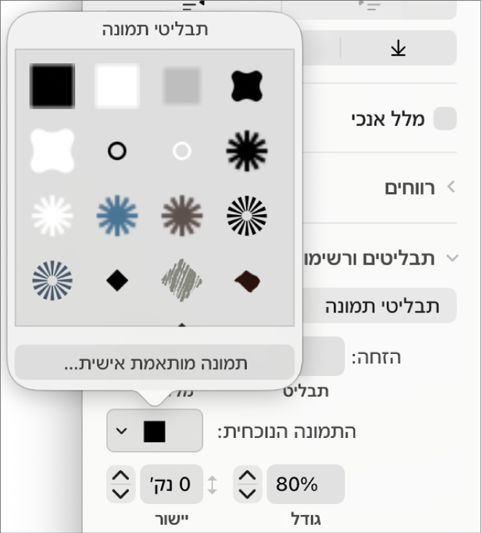 התפריט הקופצני ״תבליטי תמונה״.