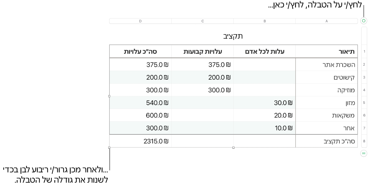 טבלה שנבחרה, עם ריבועים לבנים לשינוי גודל.