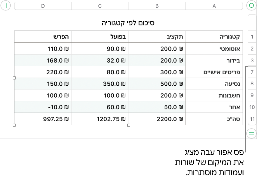 פס אפור עבה שמציג את מיקומן של שורות ועמודות נסתרות