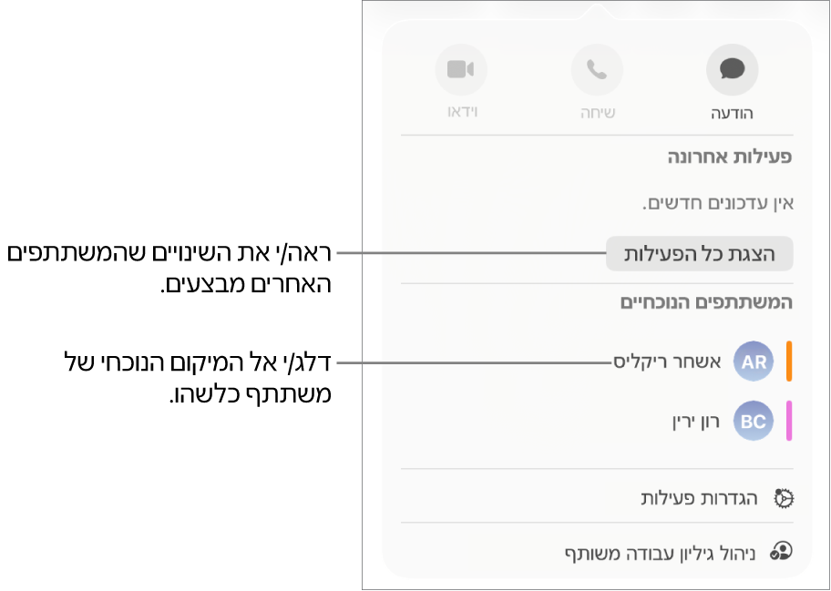 תפריט ״שיתוף פעולה״ שרואים בו שני משתתפים פעילים כעת.