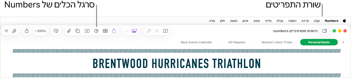 שורת התפריטים בראש המסך עם התפריטים Apple, Numbers, ״קובץ״, ״עריכה״, ״הכנס״, ״טבלה״, ״ארגן״, ״עיצוב״, ״ארגון״, ״תצוגה״, ״חלון״ ו״עזרה״. מתחת לשורת התפריטים ישנו גיליון עבודה פתוח של Numbers עם כפתורי סרגלי כלים לאורך החלק העליון עבור ״תצוגה״, ״הגדלה/הקטנה״, ״הוסף קטגוריה״, ״טבלת סבסוב״, ״הכנס״, ״טבלה״, ״תרשים״ ו״מלל״.