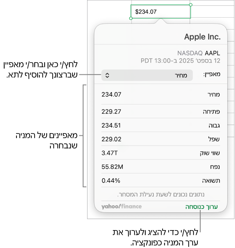 תיבת הדו-שיח להזנת פרטי מאפיינים של מניות, עם Apple כמניה הנבחרת.