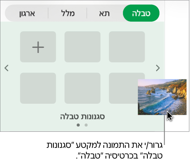 גרירת תמונה לסגנונות הטבלה כדי ליצור סגנון חדש.