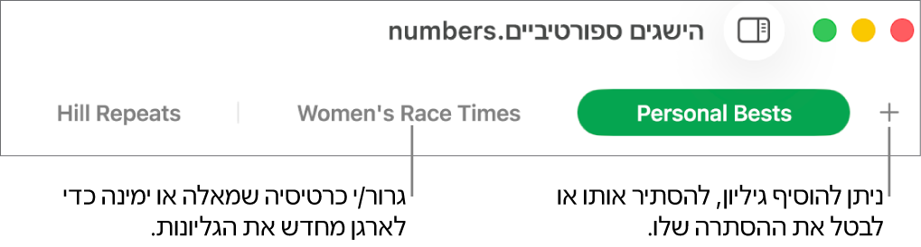 סרגל הלשוניות המאפשר הוספת גיליון חדש וארגון מחדש של הגיליונות.
