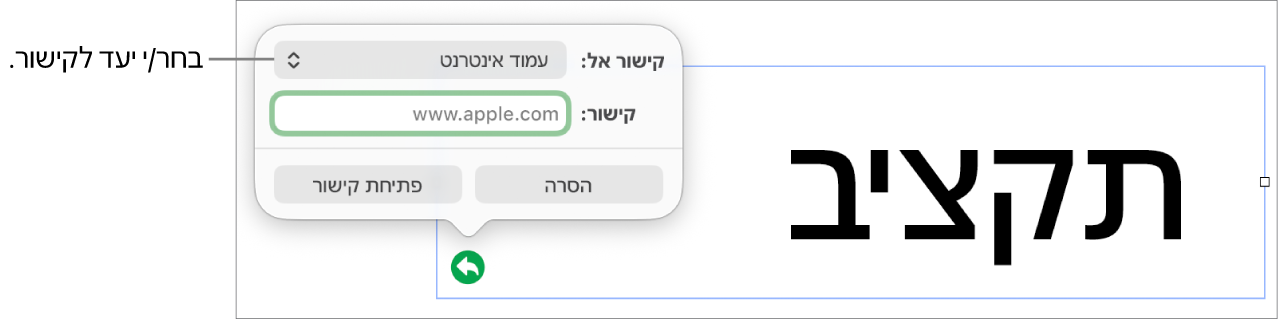 כלי הבקרה של עורך הקישורים כאשר האפשרות ״עמוד אינטרנט״ נבחרת ובחלק התחתון מוצגים הכפתורים ״הסר״ ו״פתח קישור״.