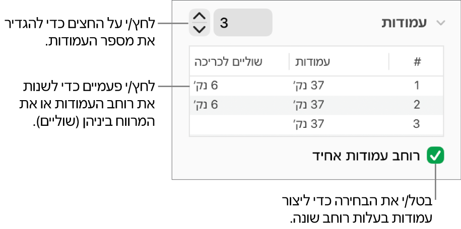 כלי בקרה במקטע העמודות לשינוי מספר העמודות והרוחב של כל עמודה.