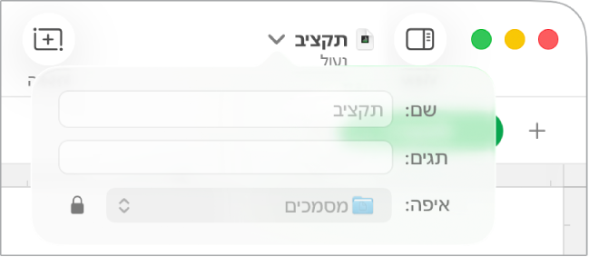 פריט קופצני עבור נעילה או ביטול נעילה של גיליון העבודה.
