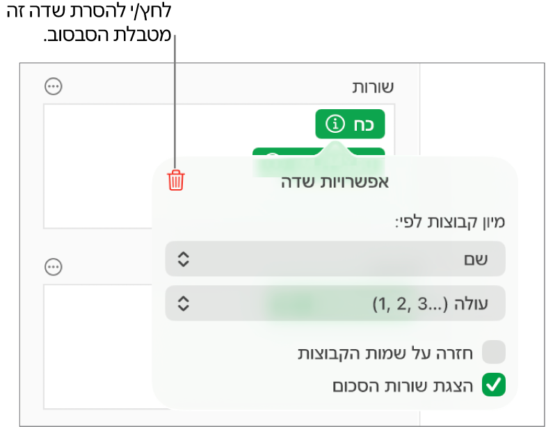התפריט ״אפשרויות שדה״, שבו מוצגים פקדים לקיבוץ ומיון של נתונים, וכן האפשרות להסיר שדה.