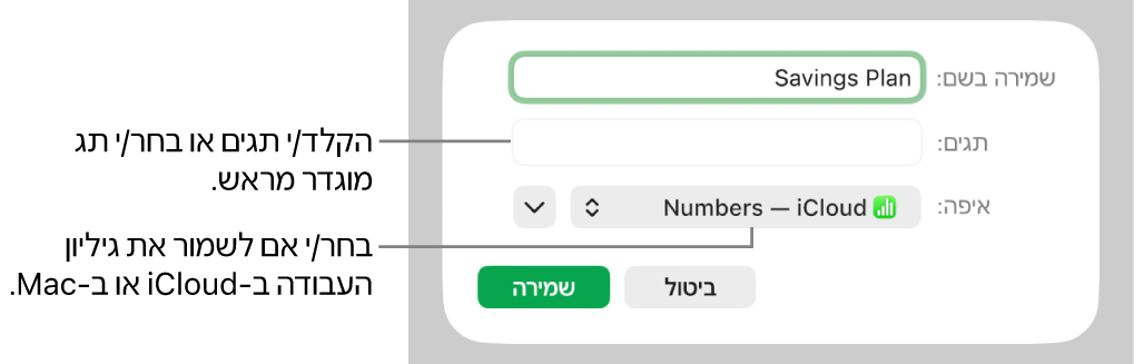 תיבת הדו-שיח ״שמור בשם״.
