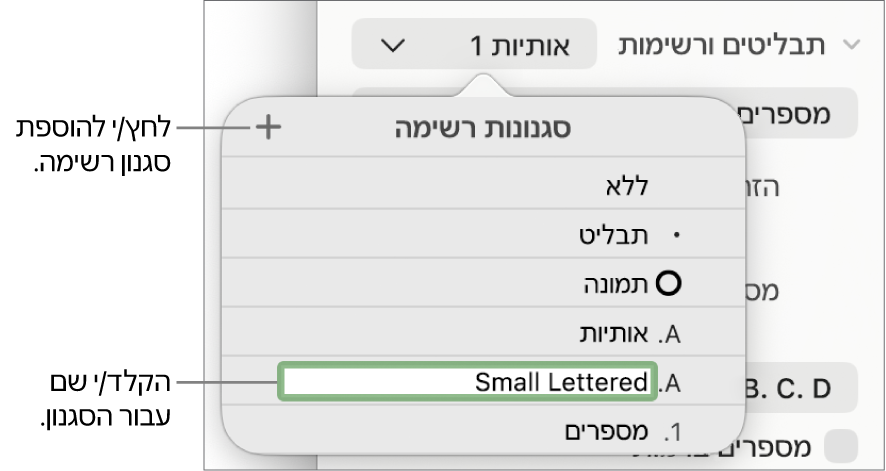 התפריט הקופצני ״סגנונות רשימה״ עם כפתור ״הוסף״ בפינה הימנית העליונה ושם של סגנון מציין מיקום כאשר המלל שלו נבחר.