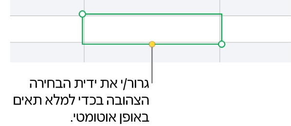 תא נבחר עם ידית צהובה שניתן לגרור כדי למלא תאים באופן אוטומטי.