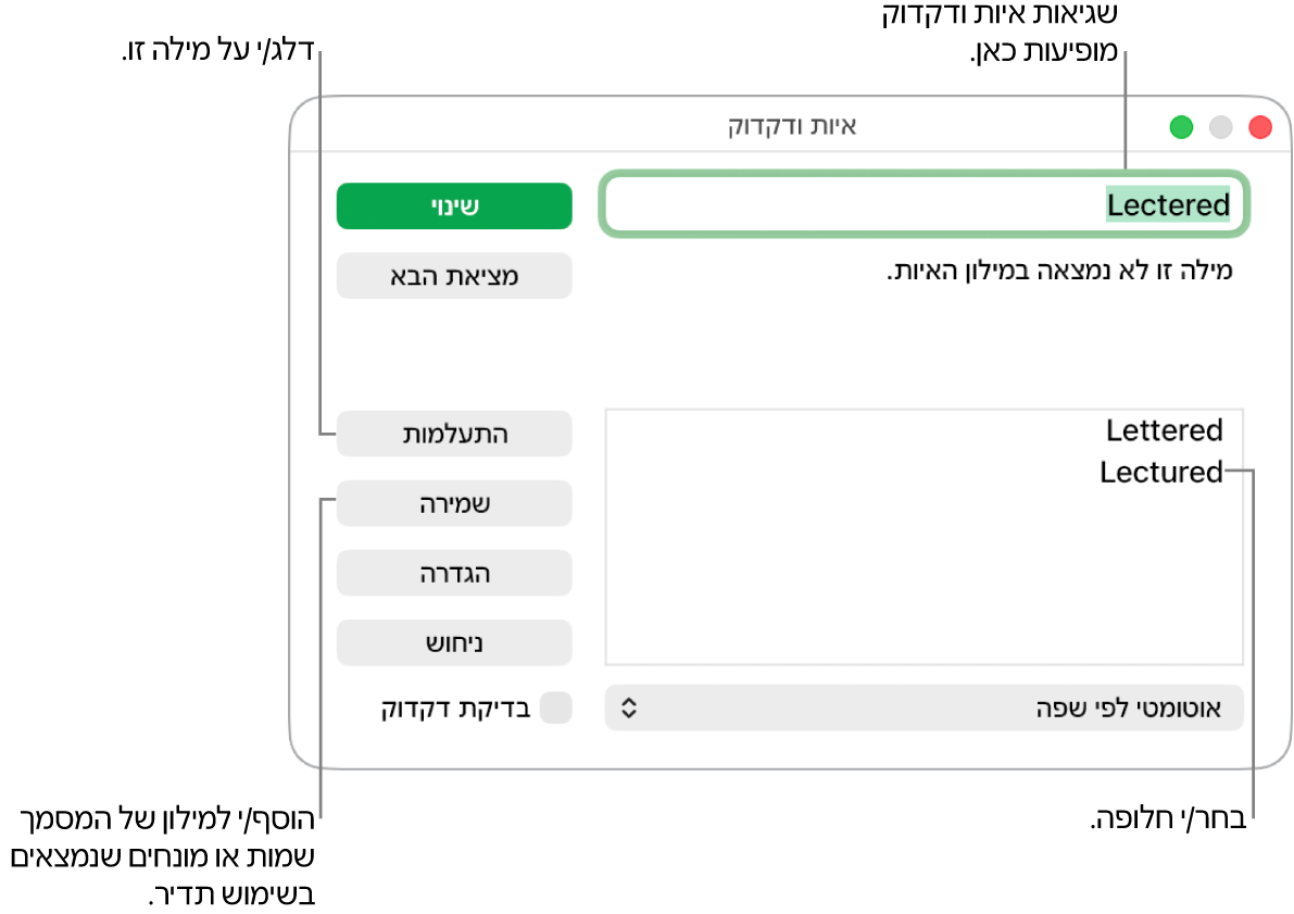החלון ״איות ודקדוק״.