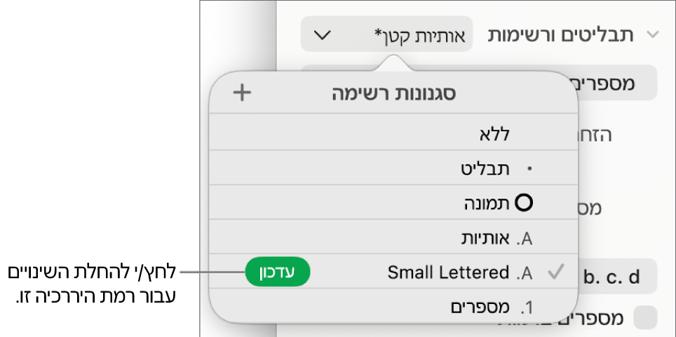 התפריט הקופצני ״סגנונות רשימה״ עם כפתור ״עדכן״ בסמוך לשמו של הסגנון החדש.