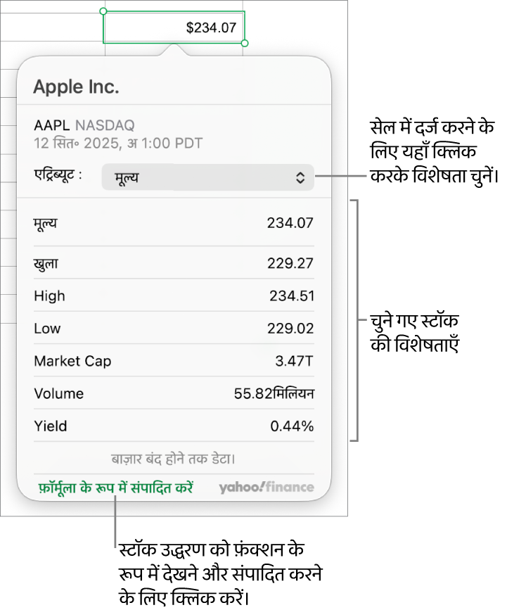 Apple के साथ चुने गए स्टॉक के रूप में स्टॉक एट्रिब्यूट जानकारी दर्ज करने के लिए डायलॉग।