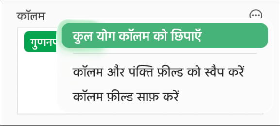 अधिक फ़ील्ड विकल्प मेनू जो कुल योग छिपाने, कॉलम और पंक्ति फ़ील्ड को स्वैप करने और फ़ील्ड को साफ़ करने के लिए नियंत्रण दिखाता है।