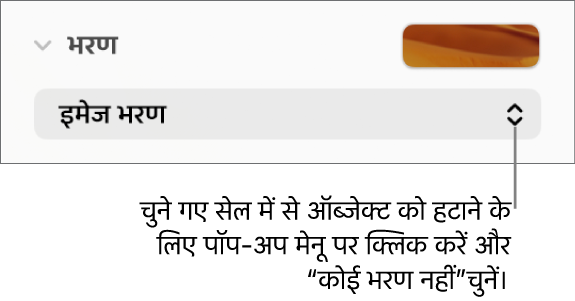 चुने गए सेल से किसी ऑब्जेक्ट को निकालने के लिए नियंत्रण।