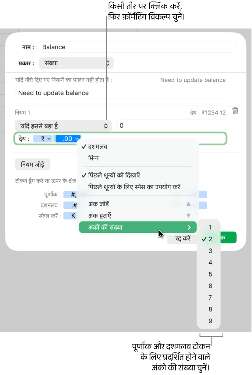 कस्टम वाली एक नई स्प्रेडशीट विकल्प चुननें के नियंत्रणों वाली कस्टम सेल फ़ॉर्मैट विंडो।