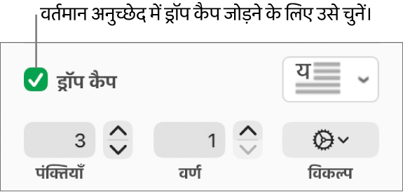 ड्रॉप कैप चेकबॉक्स चुना जाता है, और उसके दाईं ओर पॉप-अप मेनू दिखाई देता है; पंक्ति ऊँचाई, वर्णों की संख्या के नियंत्रण और अन्य विकल्प उसके नीचे दिखाई देते हैं।