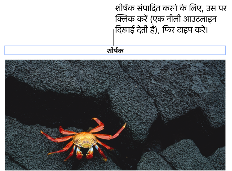 प्लेसहोल्डर शीर्षक, “शीर्षक” तस्वीर के नीचे दिखाई देता है; यह चयनित है दिखाने के लिए शीर्षक फ़ील्ड के चारों तरफ़ एक नीली आउटलाइन दिखाई देती है।