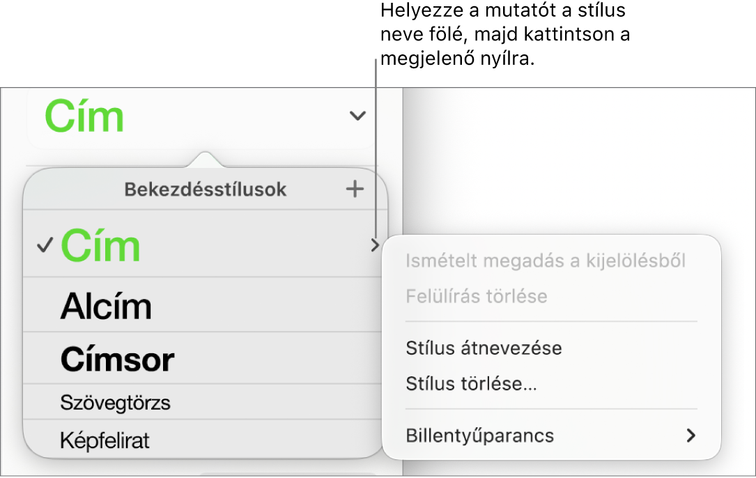 A Bekezdésstílusok menü a megnyitott helyi menüvel.