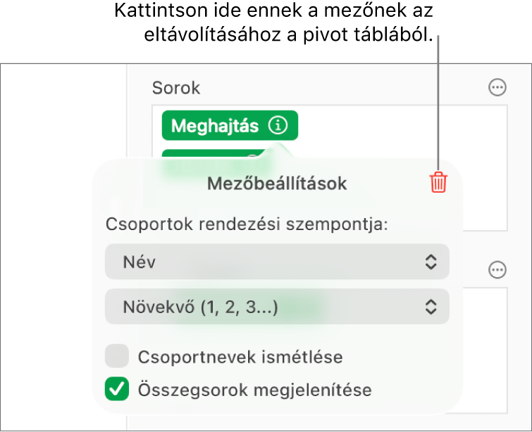 A Mezőbeállítások menü az adatok csoportosítására és rendezésére szolgáló vezérlőkkel, illetve a mező eltávolítására szolgáló lehetőséggel.