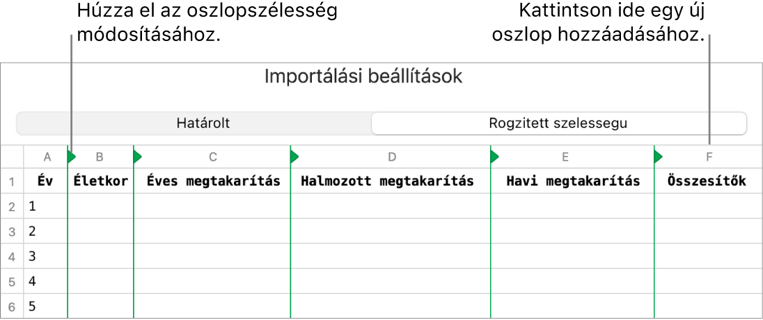 A rögzített szélességű szövegfájlok importálási beállításai.